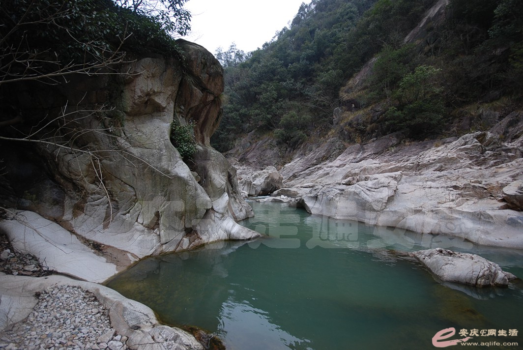DSC_1933.jpg