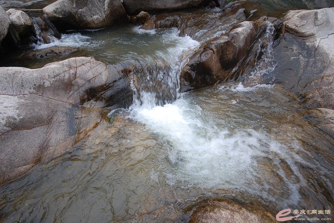 DSC_1942.jpg