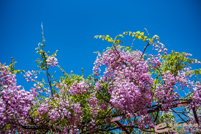 D75_5947_.jpg