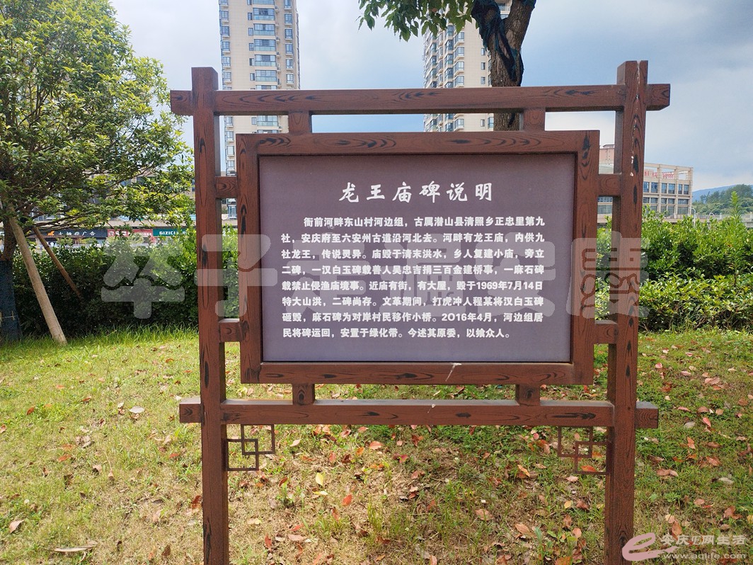 IMG_20240626_125752.jpg