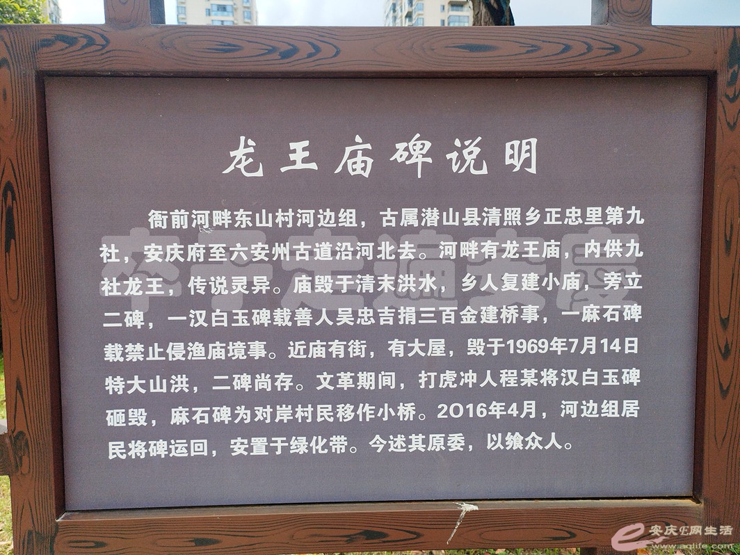 IMG_20240626_125755.jpg