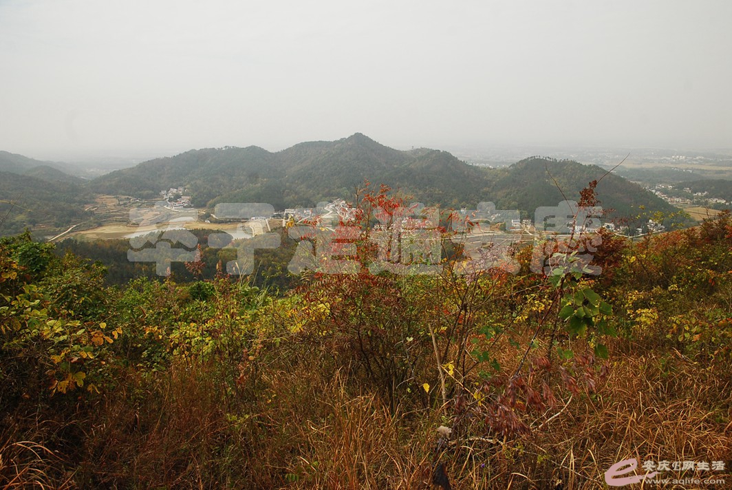 DSC_2158.jpg