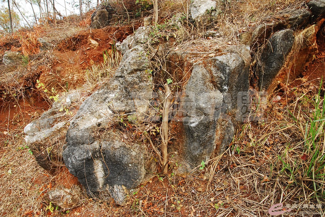 DSC_2180.jpg