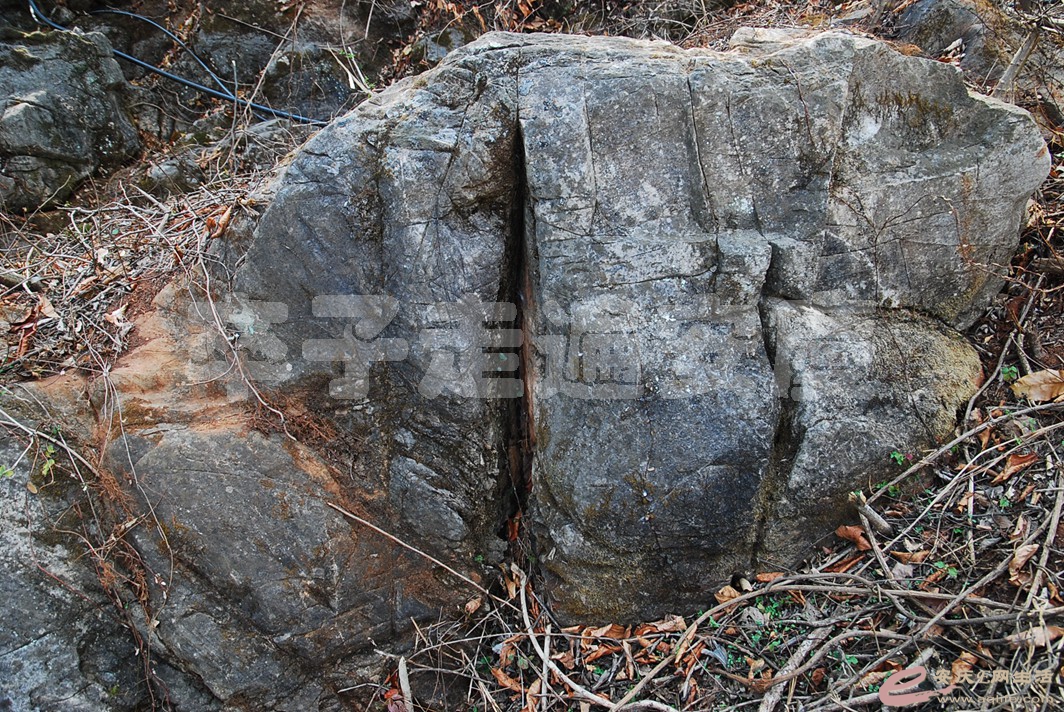 DSC_2259.jpg