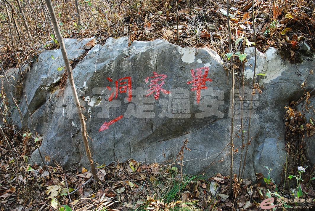 DSC_2260.jpg
