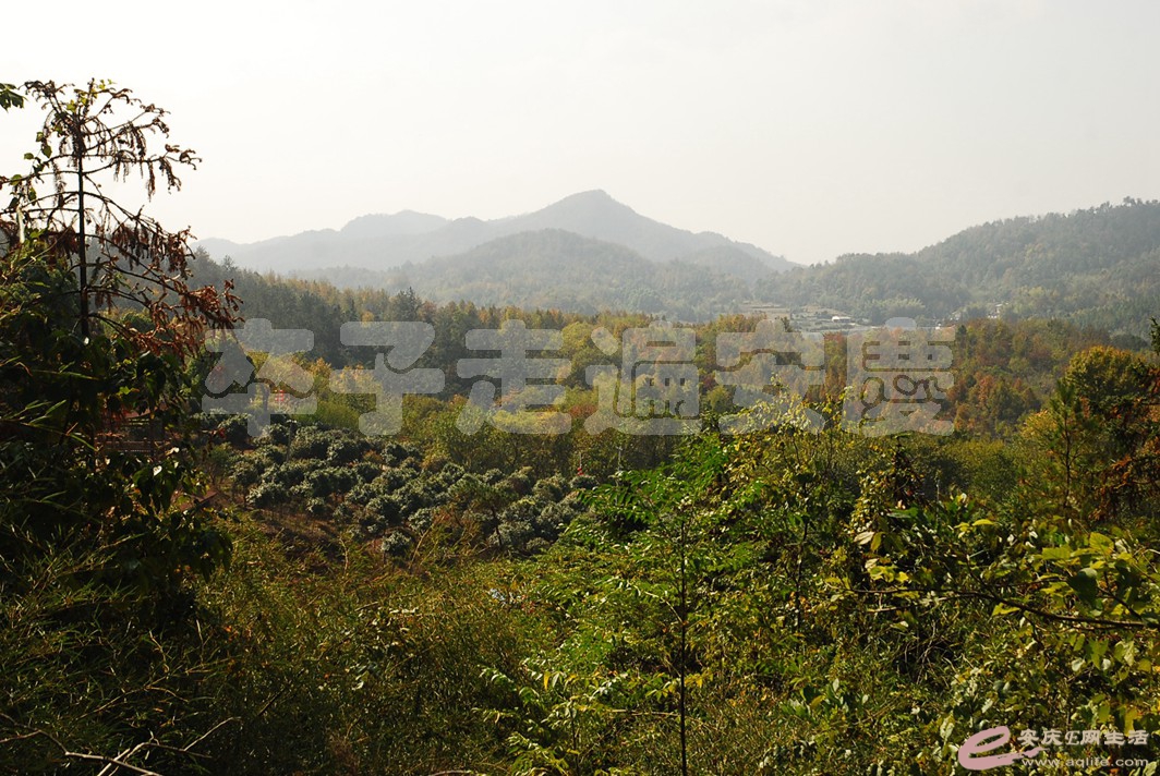 DSC_2326.jpg