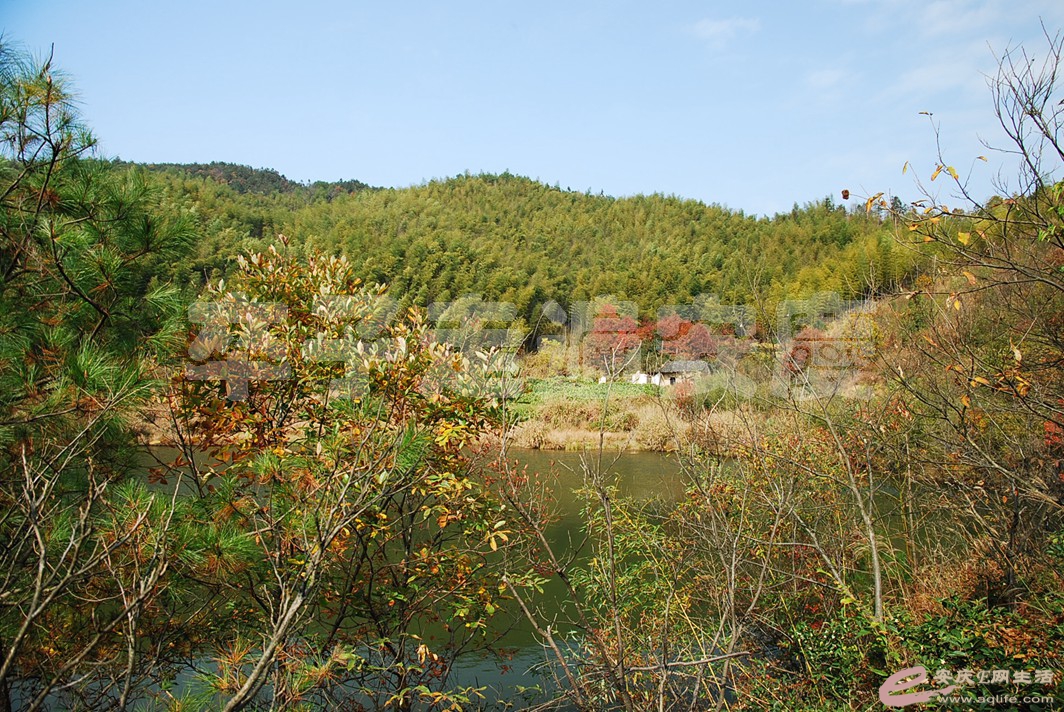 DSC_0716.jpg