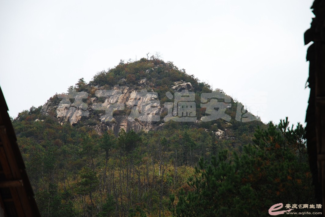 DSC_0662.jpg