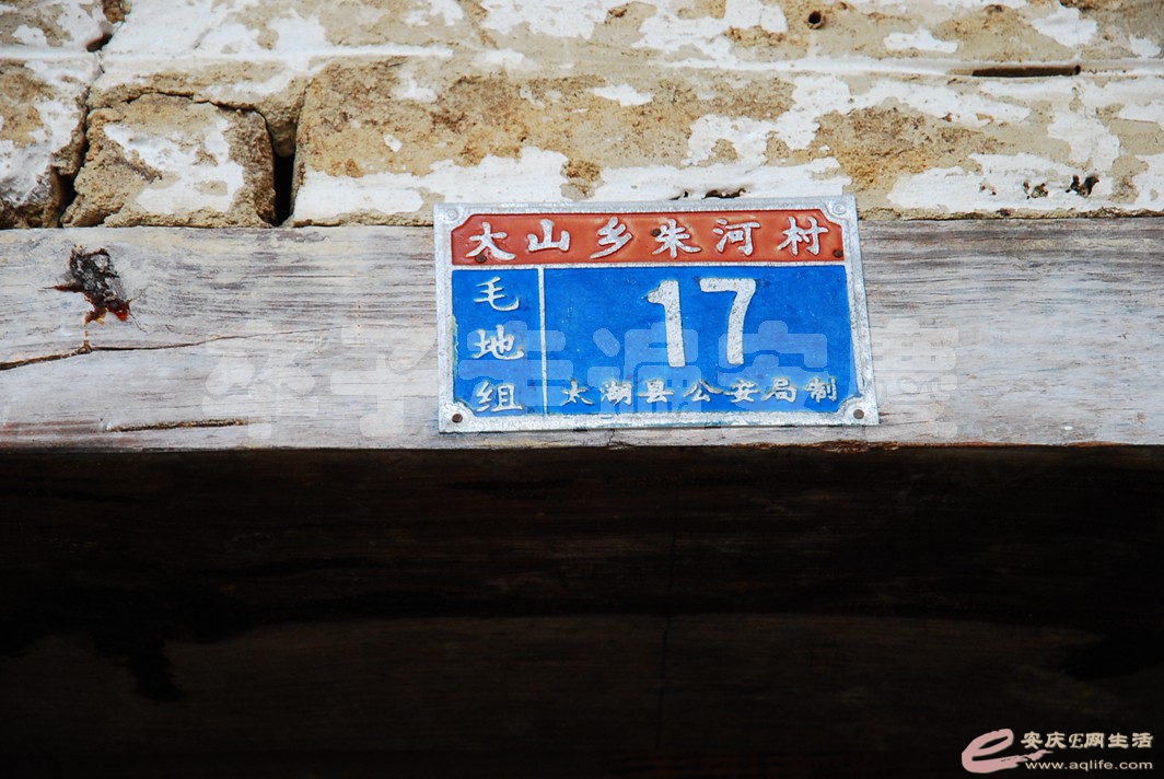 DSC_0628.jpg