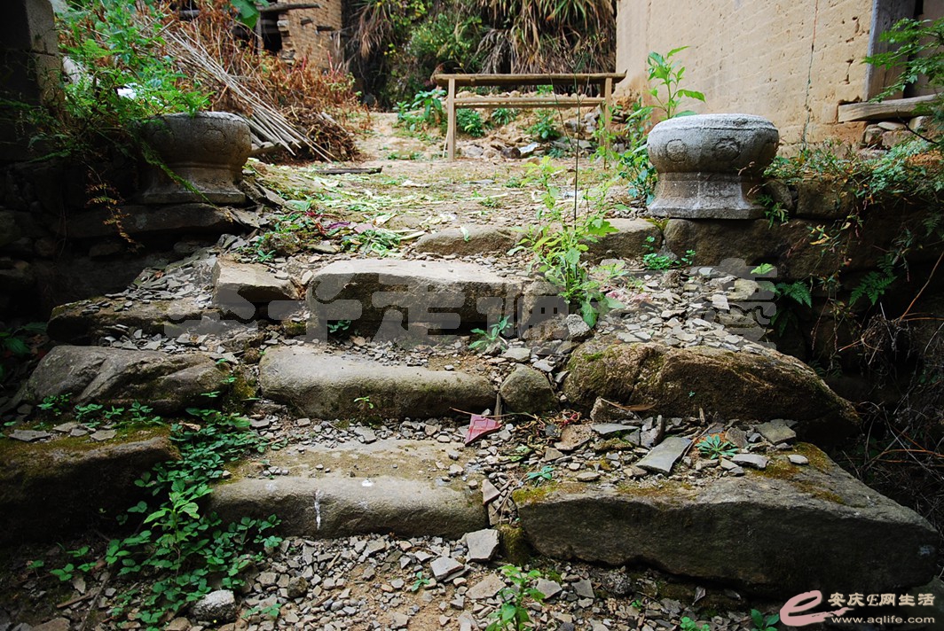 DSC_0666.jpg