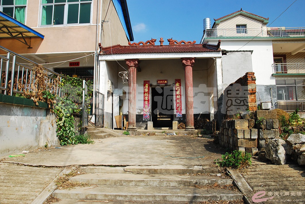 DSC_2335.jpg