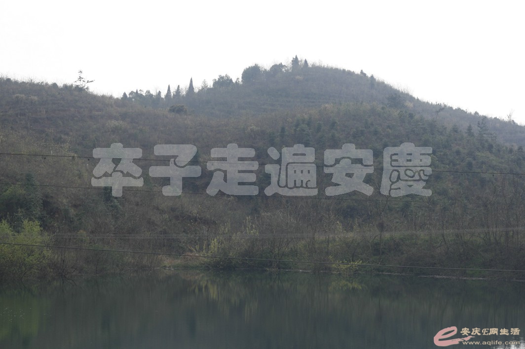 20170324 174.jpg