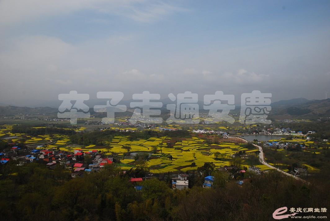 DSC_3467.jpg