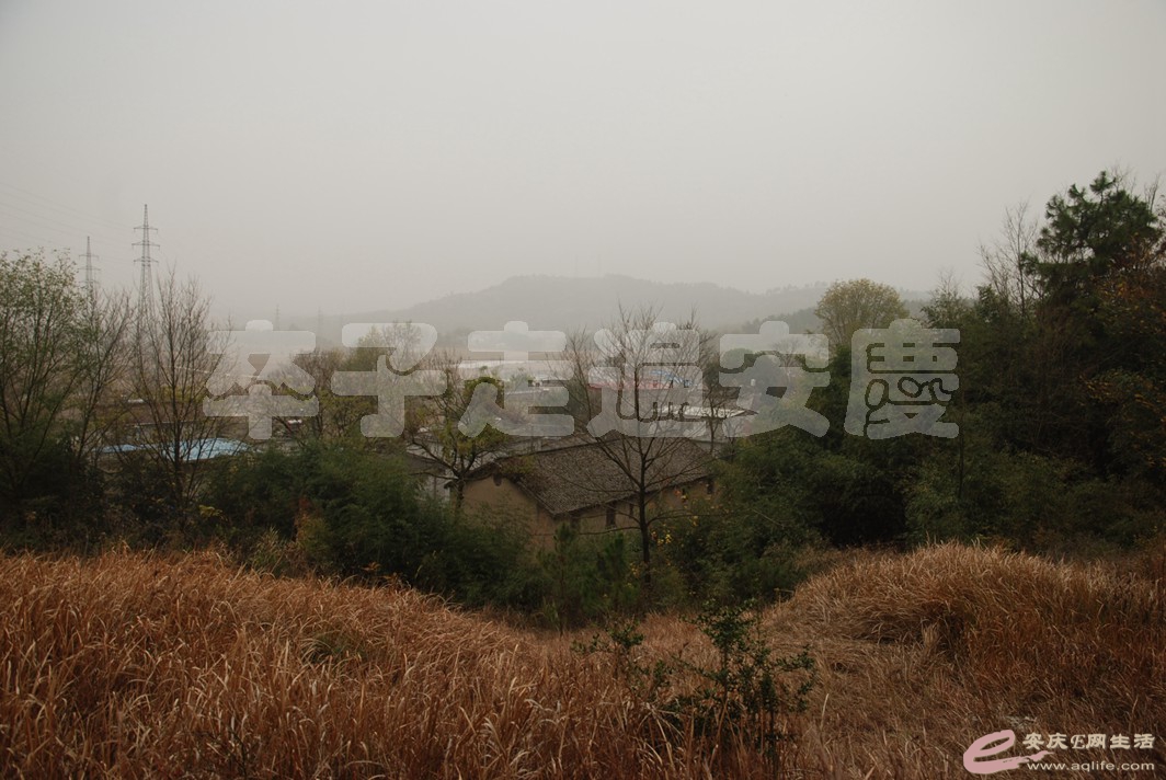 DSC_1402.jpg