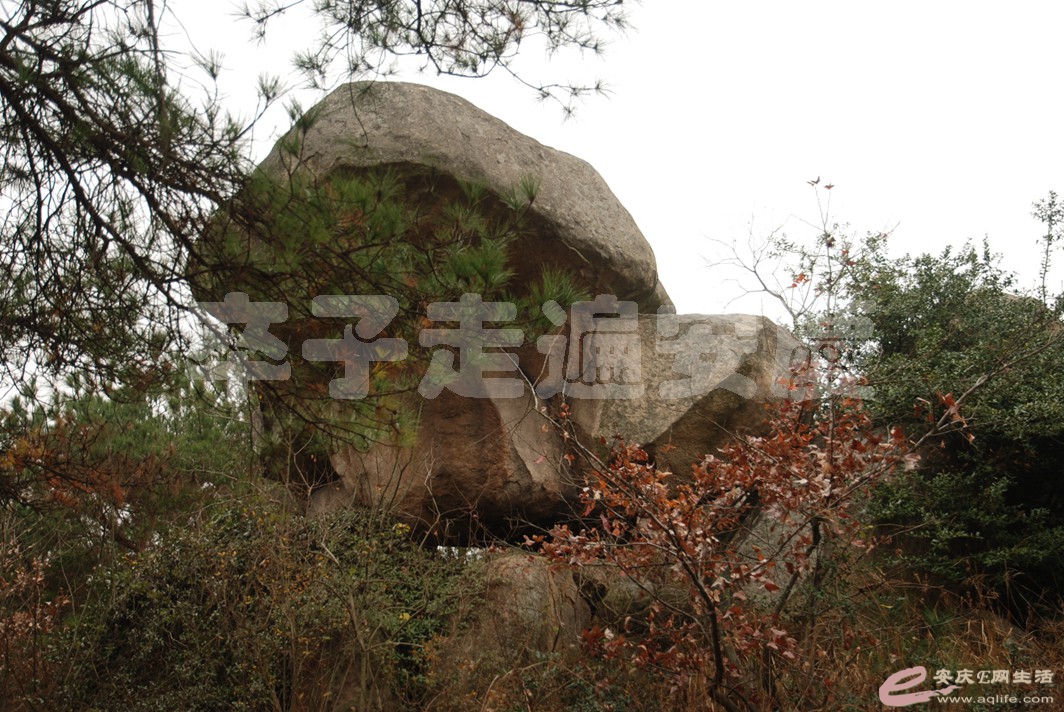 DSC_1417.jpg