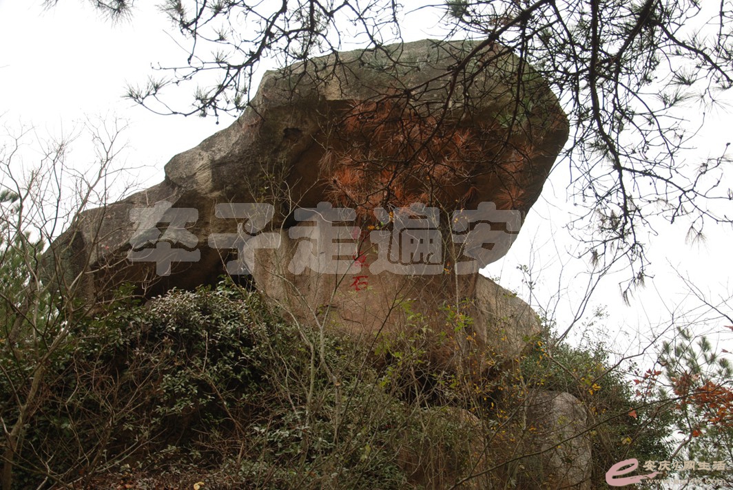 DSC_1464.jpg