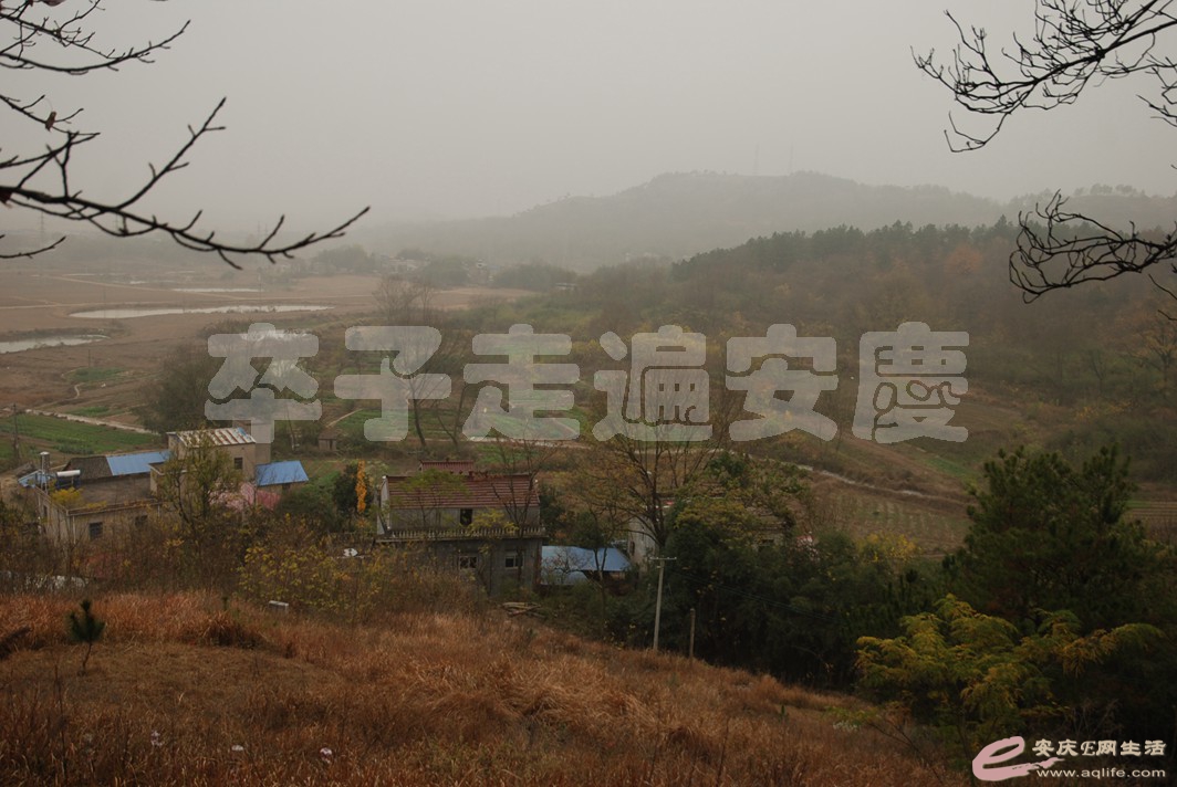 DSC_1549.jpg