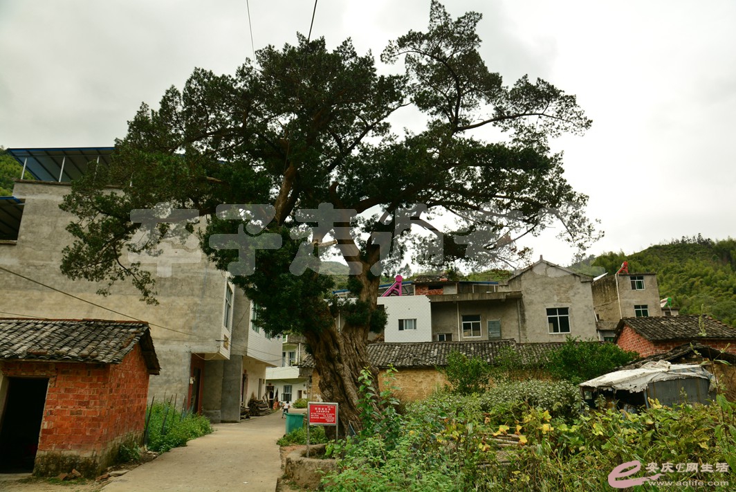 20160916 016.jpg