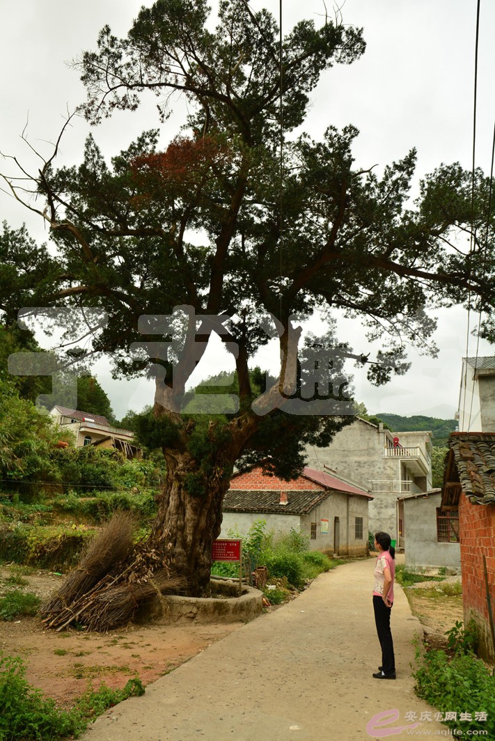 20160916 026.jpg