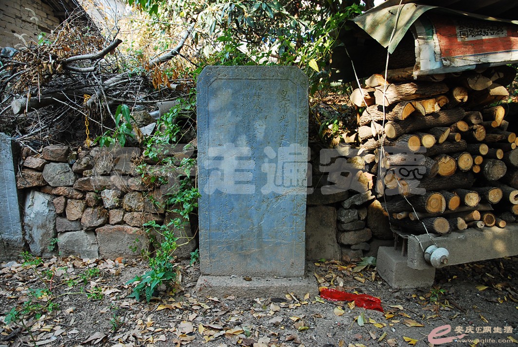 DSC_2828.jpg