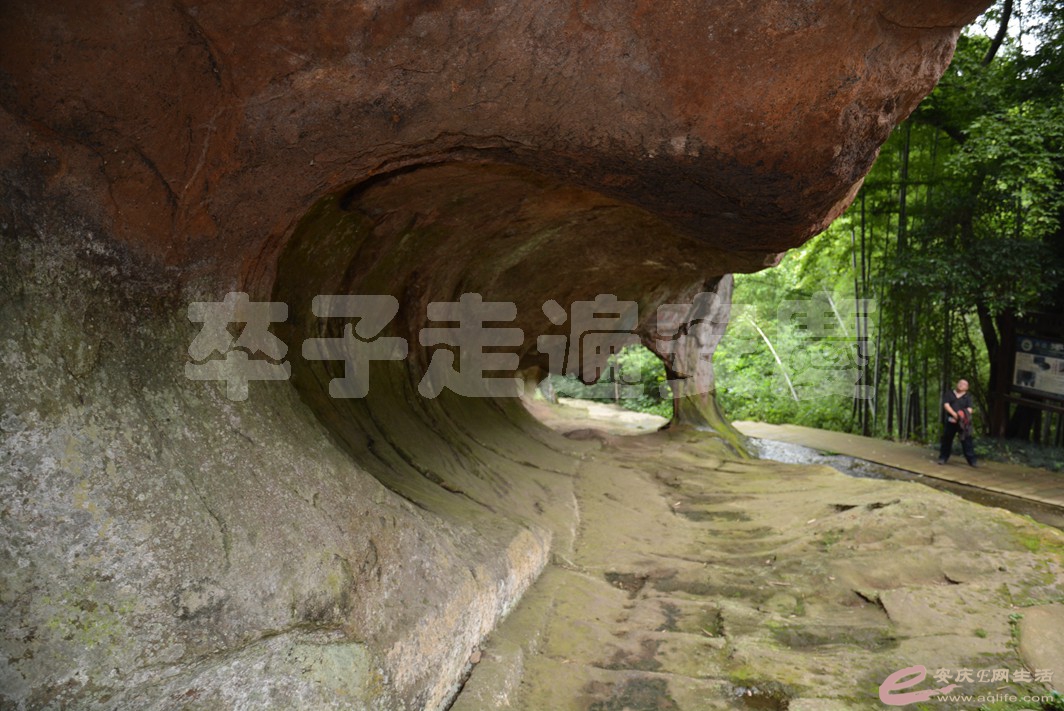 20160529 725.jpg