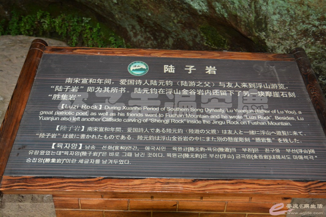 20160529 726.jpg
