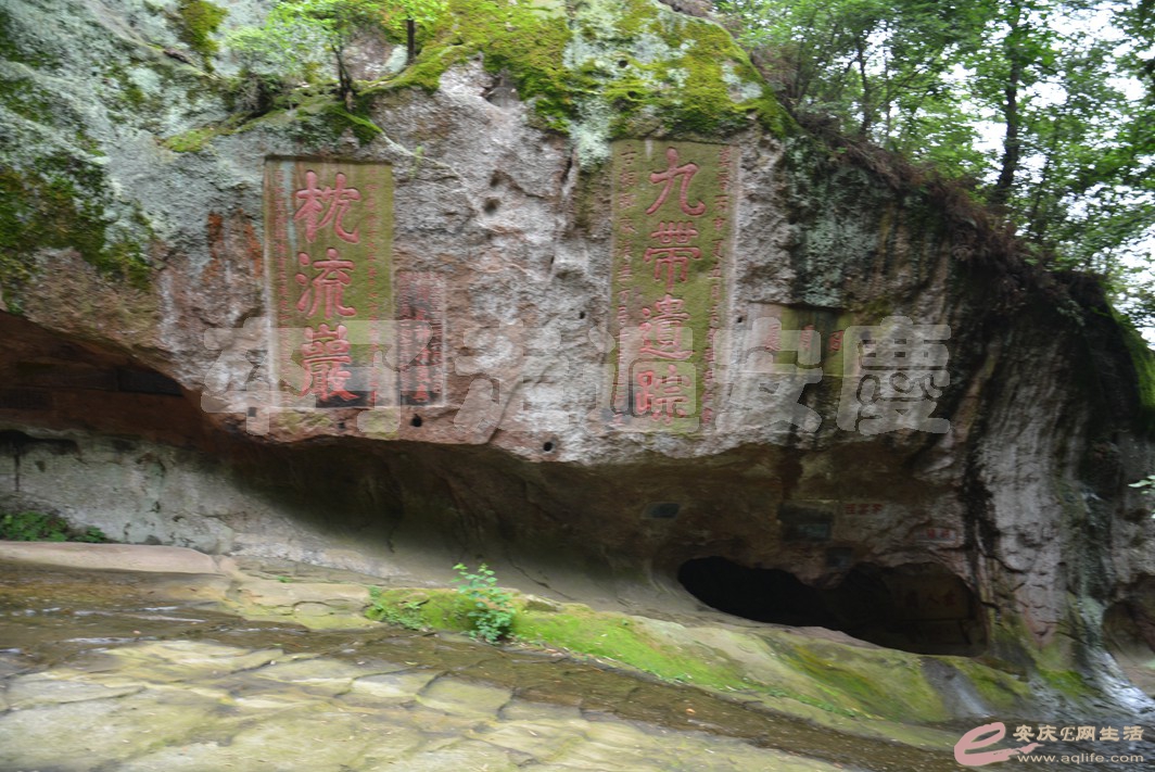 20160529 731.jpg