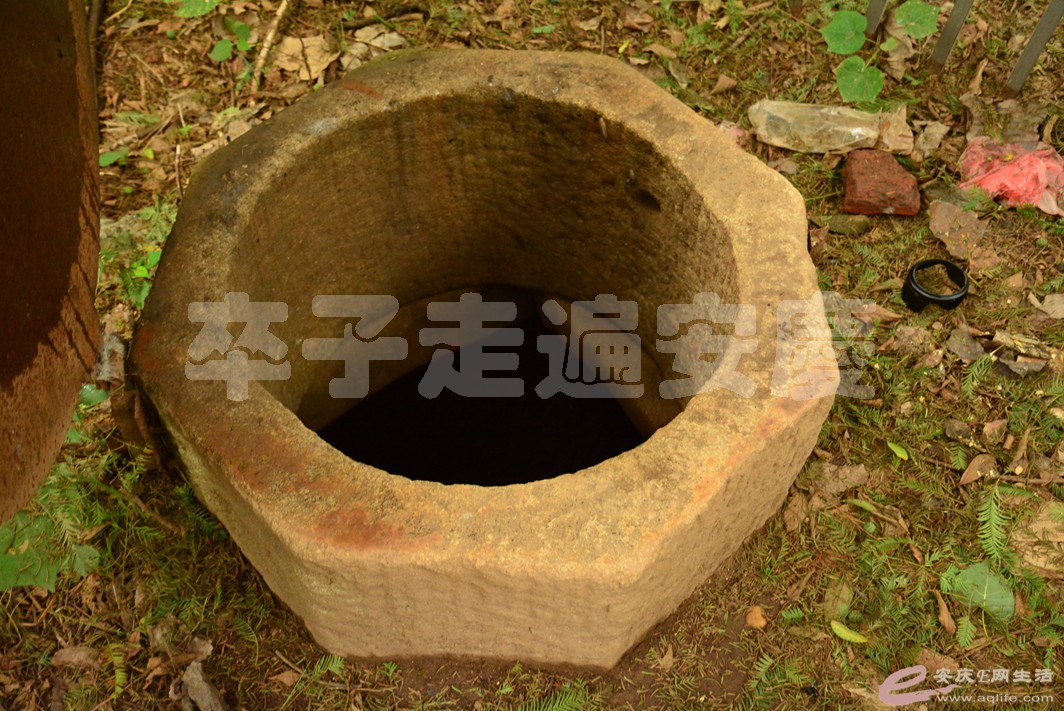 20161002 114.jpg