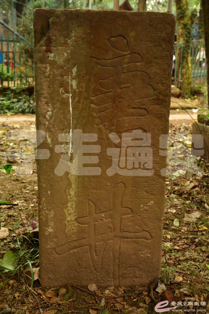 20161002 124.jpg