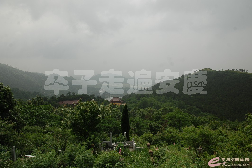 DSC_2530.jpg