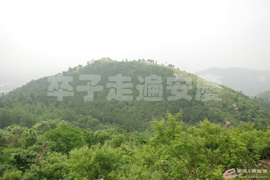 DSC_2533.jpg