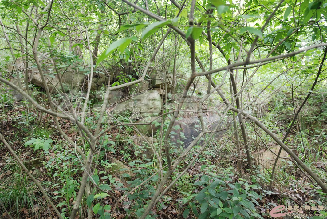 DSC_2535.jpg