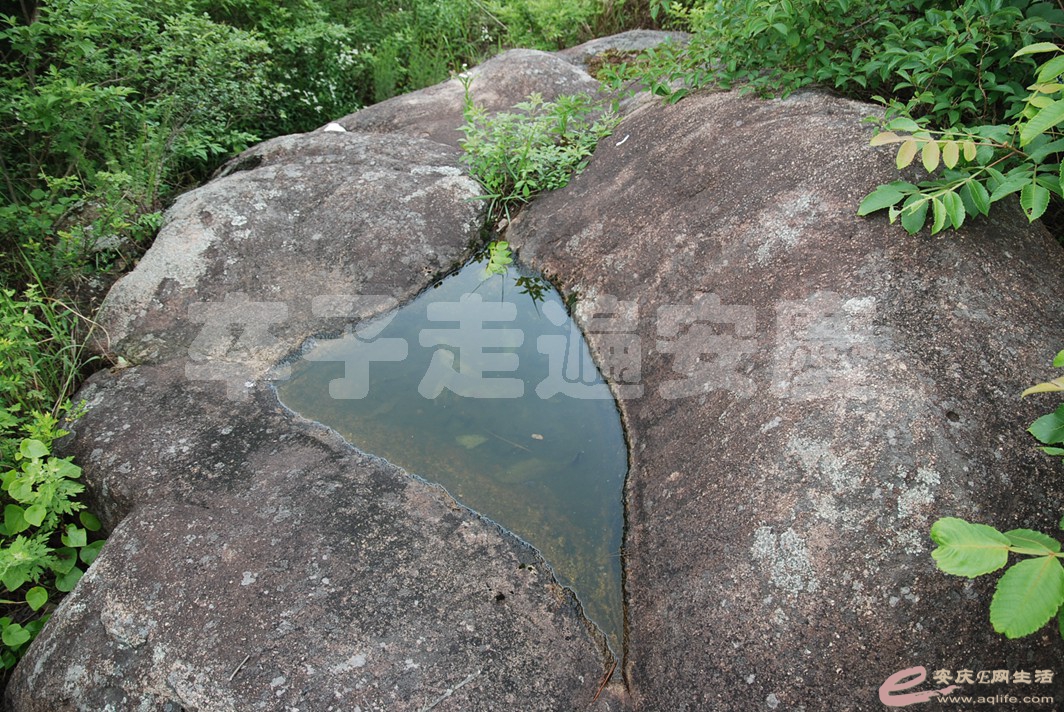 DSC_2556.jpg