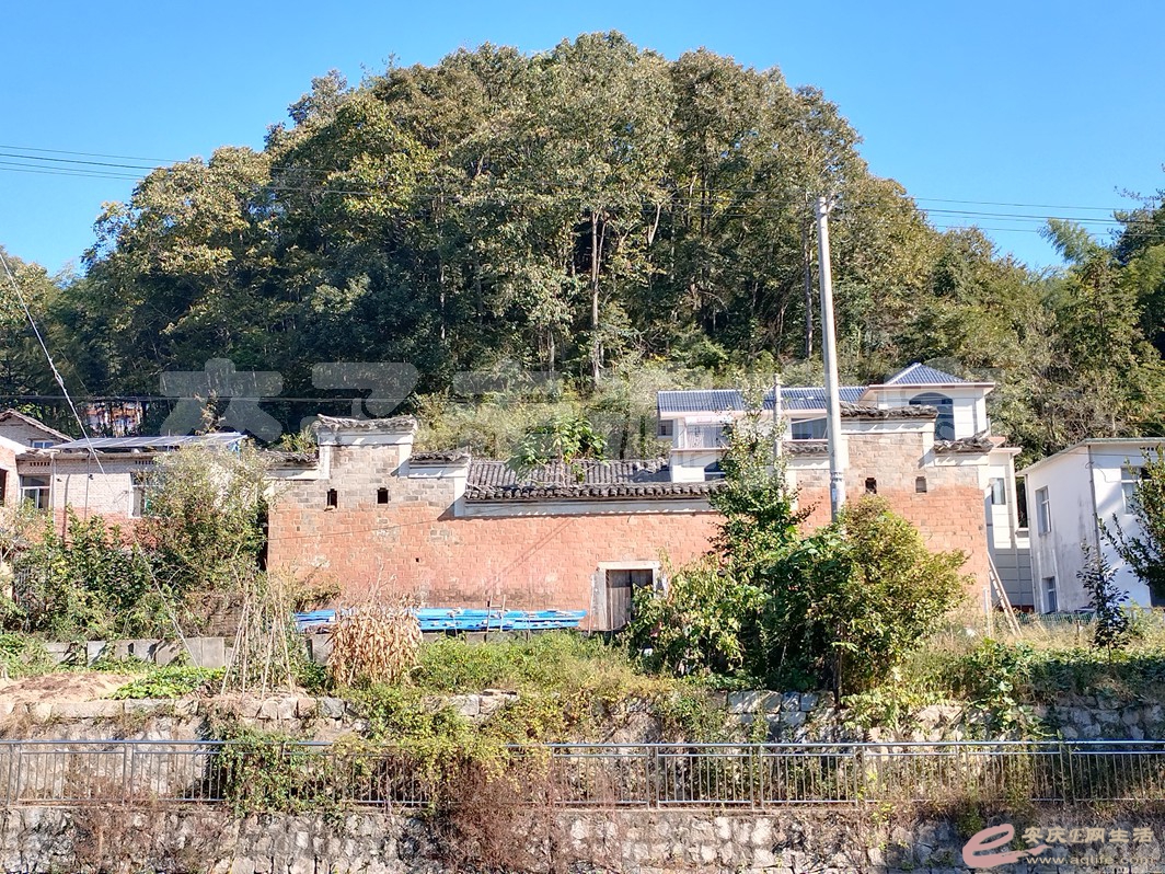 IMG_20240924_090238.jpg