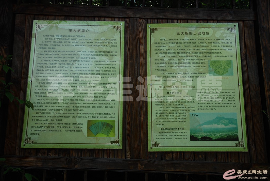 DSC_3839.jpg