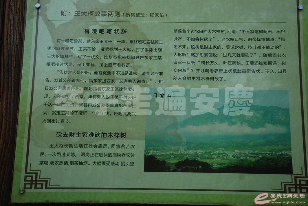 DSC_3853.jpg
