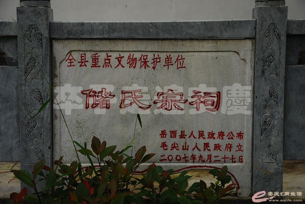 DSC_9477.jpg