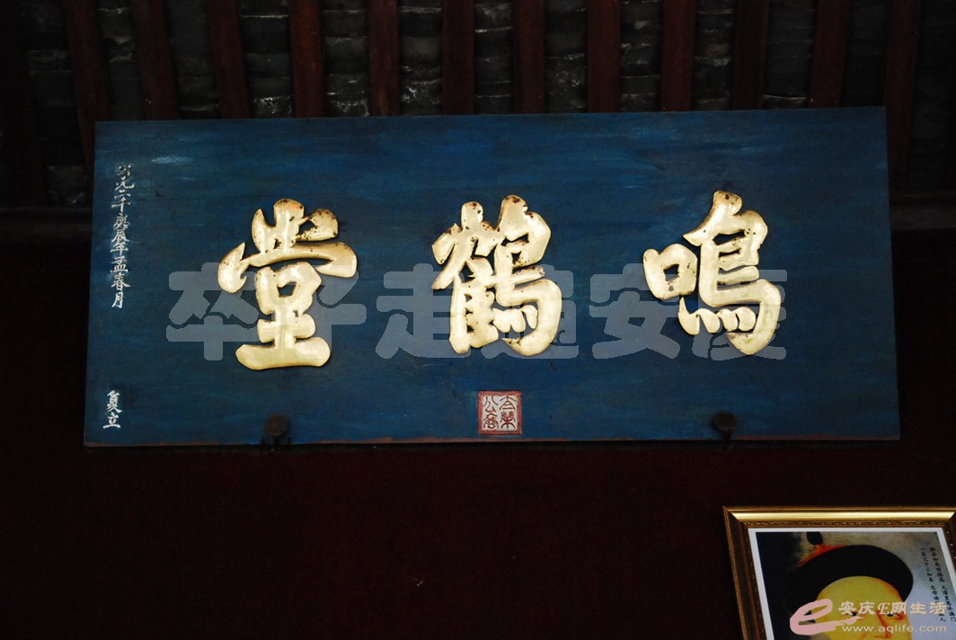 DSC_9508.jpg