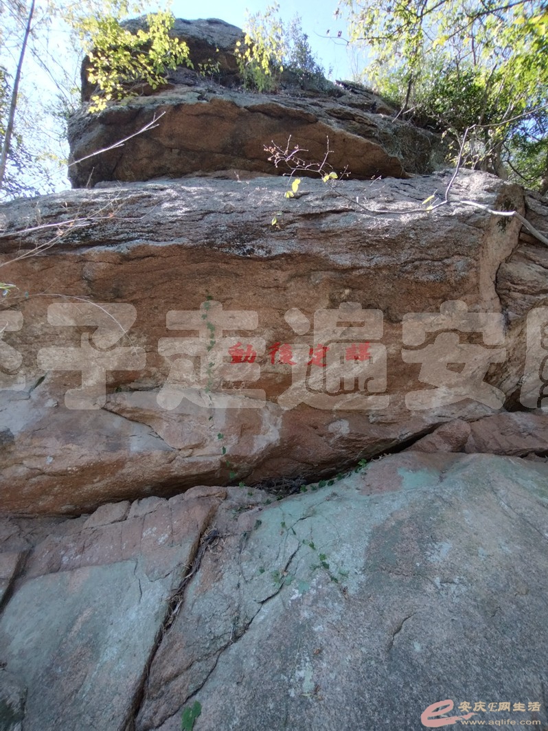 IMG_20241004_124249.jpg