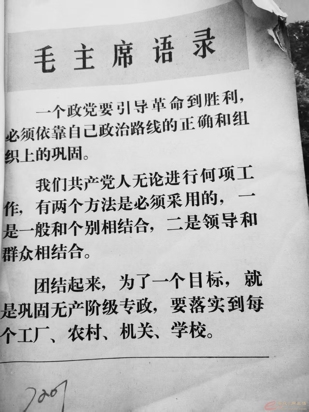 c45195bb20b5b76b4d88c698506d43b1 - .jpg